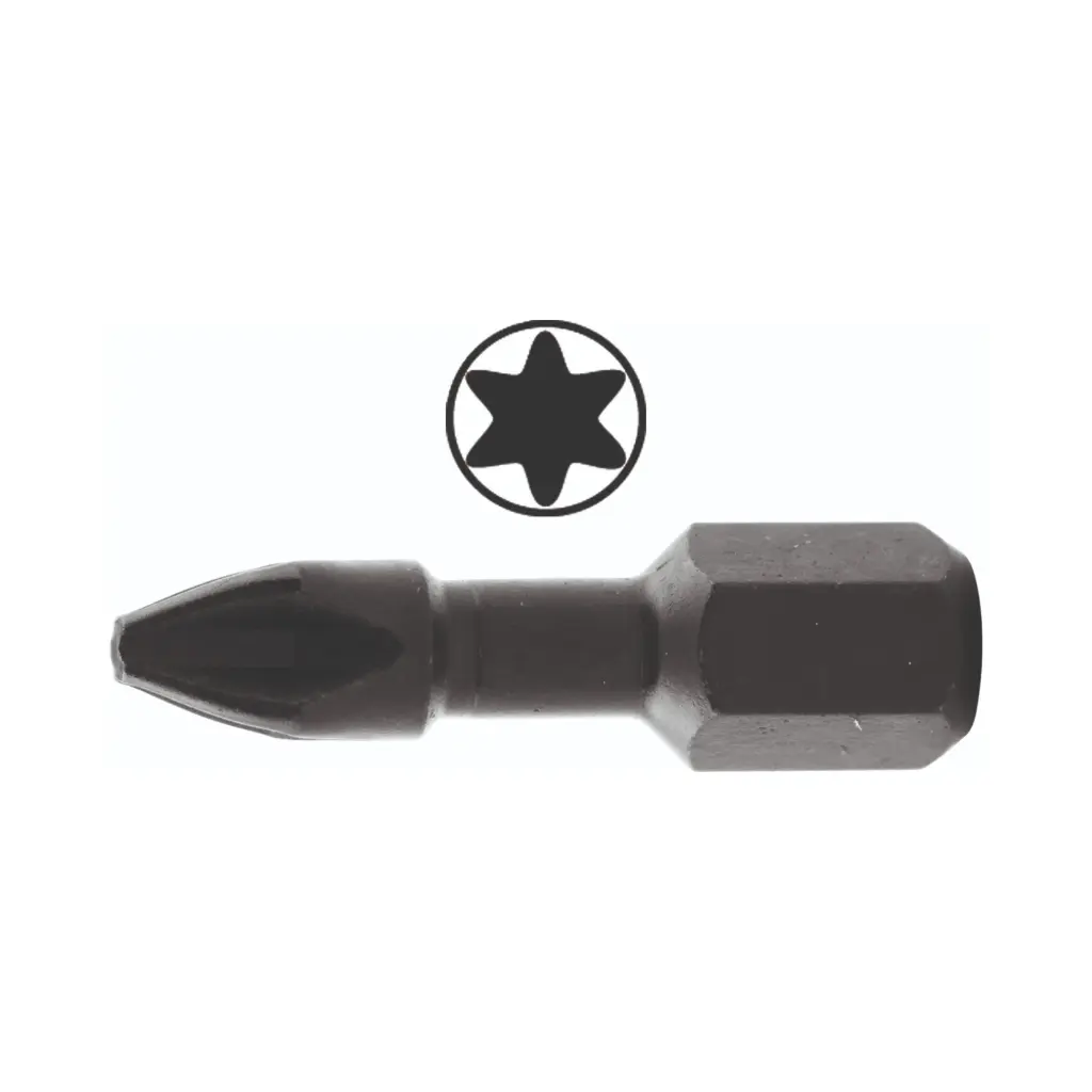 [HK002050] Bits Torx 25 25mm (10 stuks)